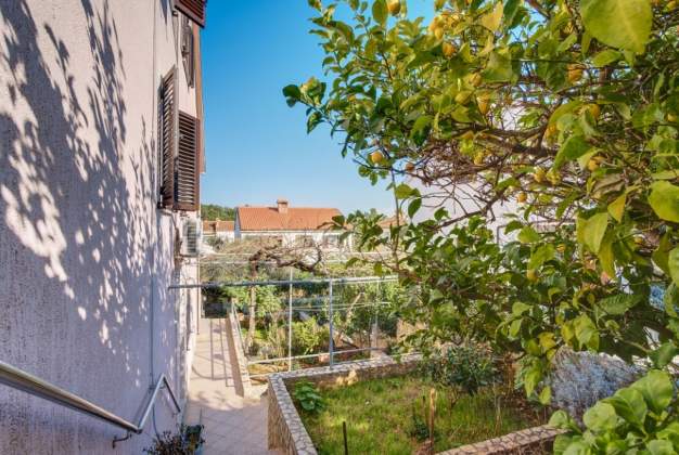 Apartment Marta 1 - Mali Losinj, Croatia