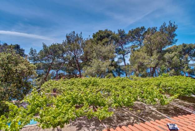 Apartmaji  Vista Mare 2 - Mali Lošinj, Hrvaška