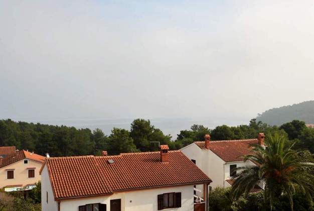 Ferienwohnungen Blue Ivy 1, Unterkunft für 3 nahe am Strand, Mali Losinj